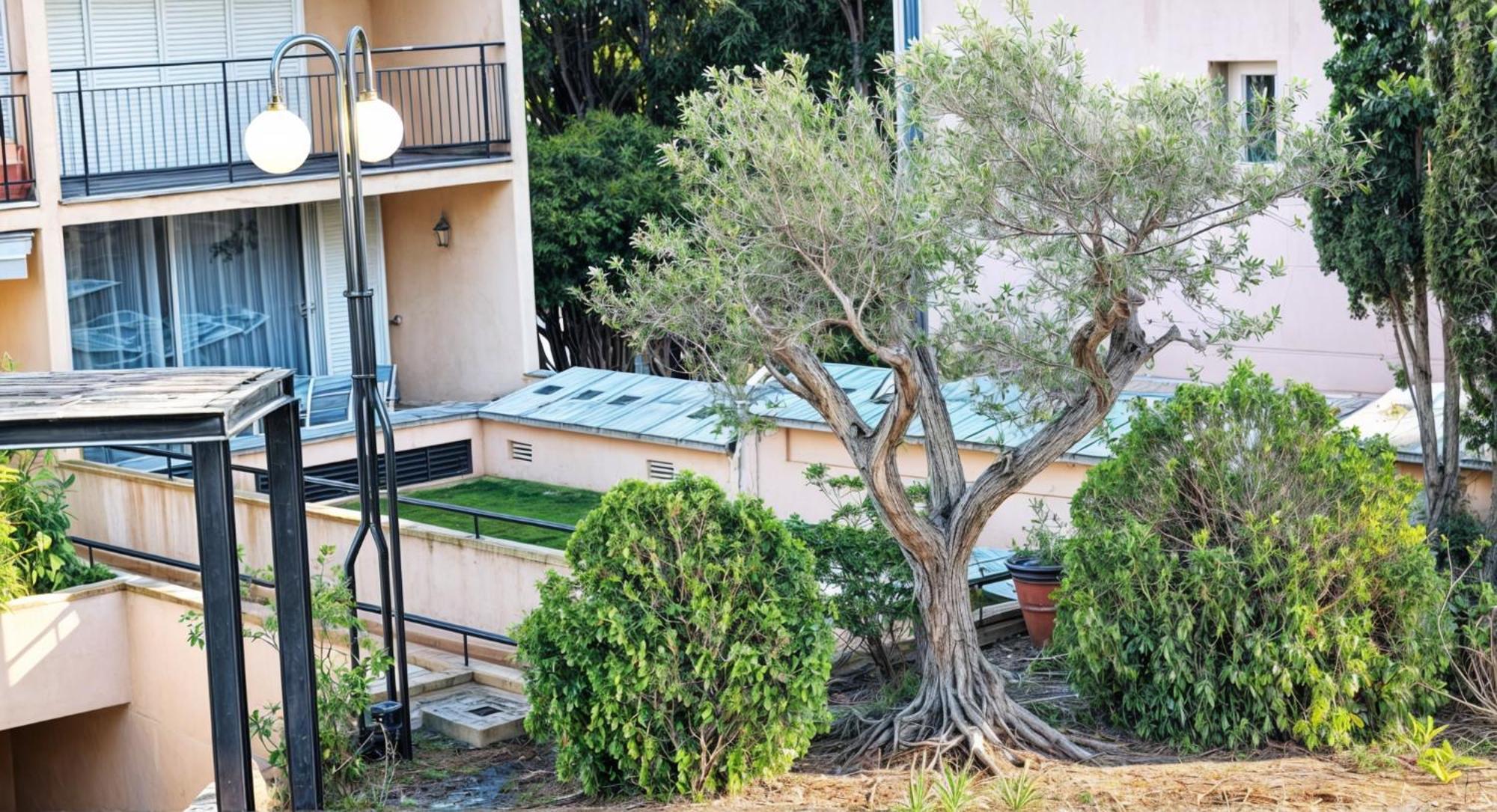 Precioso Apartamento Reformado En 1Ra Linea De Mar Sin Vistas Calella De Palafrugell Zimmer foto